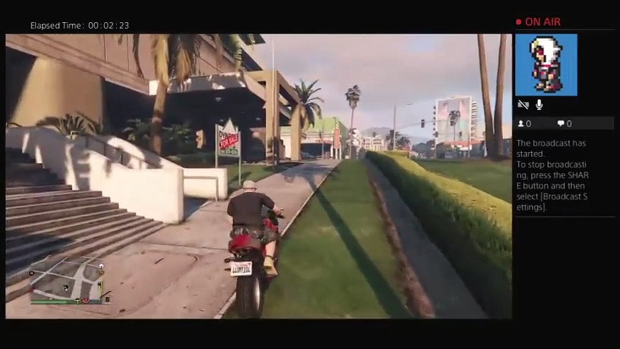 GTA online (11)