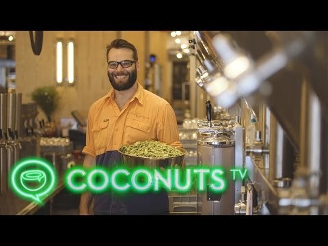 Little Creatures Kennedy Town | Hong Kong's newest craft brew | Coconuts TV