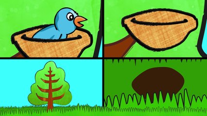 Green Grass Grew | BASHO & FRIENDS | Nursery Rhymes and Songs for Kids HD