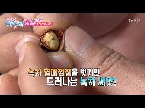 뇌경색을 이겨낸 비법! ‘녹차 씨앗’ [행복한 저녁] 4회 20170413