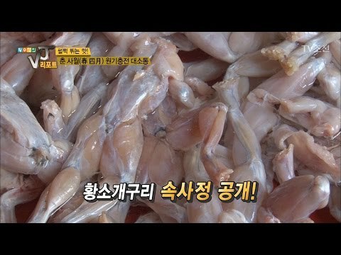 개구리의 배를 열었더니...쥐가 나왔다... [황수경의 VJ리포트] 2회 20170411