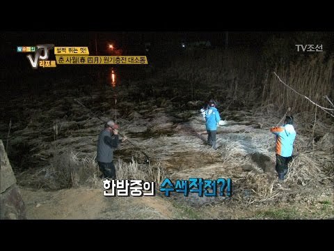 한밤중에 황소개구리를 잡는 이유는? [황수경의 VJ리포트] 2회 20170411