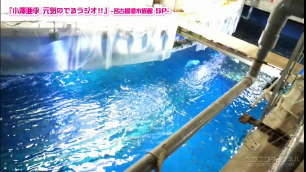 小澤亜李元気のでるラジオ 小澤亜李 松岡由梨佳 名古屋港水族館sp 動画 Dailymotion