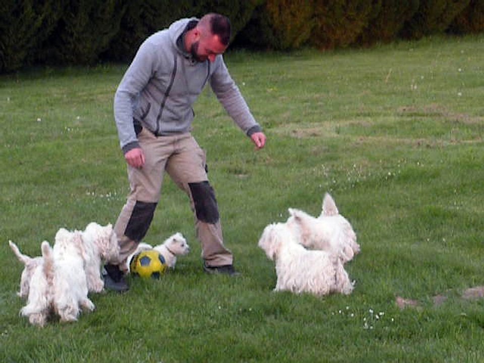 Partie de foot