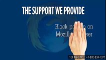 The Best Technical Support for Mozilla Browser