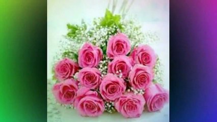 LE PROGRAMME DE BENOÎT HAMON. Ecologie. Protéger et respecter la planète