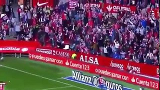 اهداف مباراة ريال مدريد × خيخون (0-1) هدف رائع لكوب لاعب خيخون - الدورى الأسبانى 15_4_2017