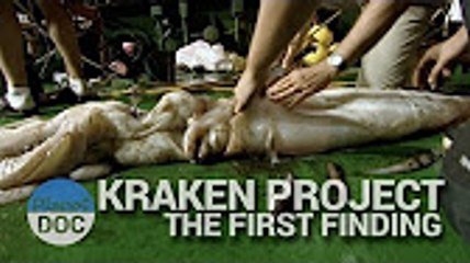 Kraken Project, The first finding   Nature - Planet Doc Full Documentaries