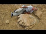 Dinosaur largest footprint discovered in Gobi desert| Oneindia News