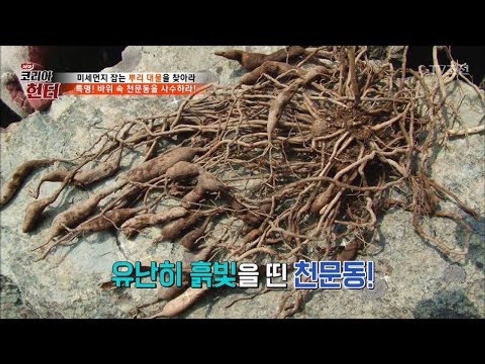 드디어 캔 대물! 그 대물은 엄청 비싼 ‘천문동’ [뉴 코리아 헌터] 45회 2017...