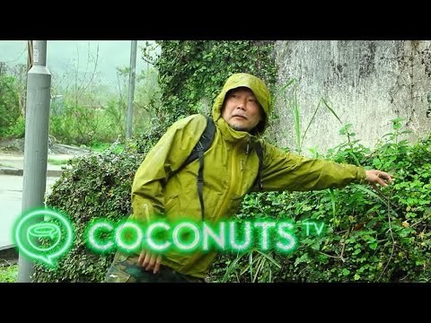 Delicious, Wild & Free: How some forage for wild plants in Hong Kong | Coconuts TV