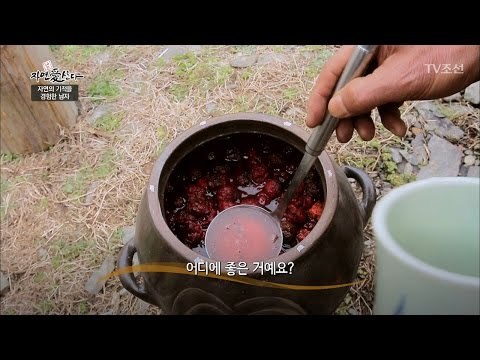 자연에서 숙성 된 꾸지뽕의 효능은? [자연愛산다] 1회 20170411