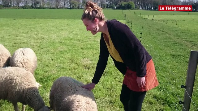 Lannion. Leur bonheur est dans la bergerie