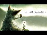 The Last Guardian