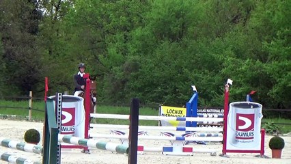 Brad De Lamorandière Selle Français 6 ans