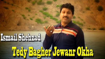 Ismail Shehzad - Tede Bagher Jewanr Okha