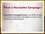 Newsletter Campaign Services - B2B Email Experts