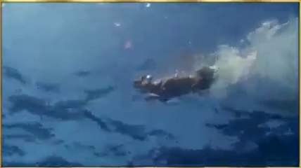 yunustaki merhamet keşke insanda da olsa