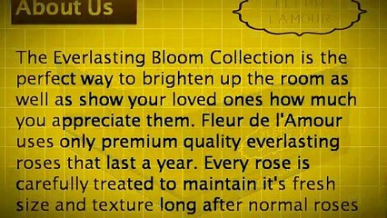 Best Flowers in a box Chicago