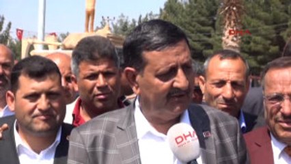 Şanlıurfa Evet Rekoru Harran'da