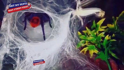 SHIT MY PANTS COMPILATION 2017