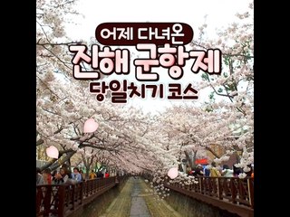 [진해] 어제 다녀온 진해 군항제 당일치기 코스