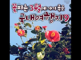 꽃피는 3월에 가기 좋은 국내여행지 9
