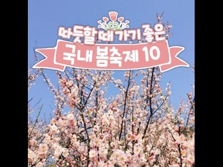 따뜻할 때 가기 좋은 국내 봄축제 10