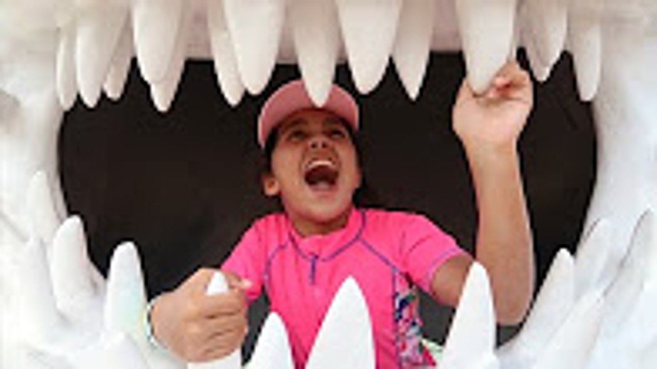 SWIMMING IN SCARY SHARK WATERS! We Have 2 Speed Boats - Family Fun Video For Kids