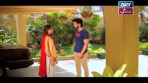 Haal-e-Dil Episode 128 - on Ary Zindagi in High Quality 17th April 2017