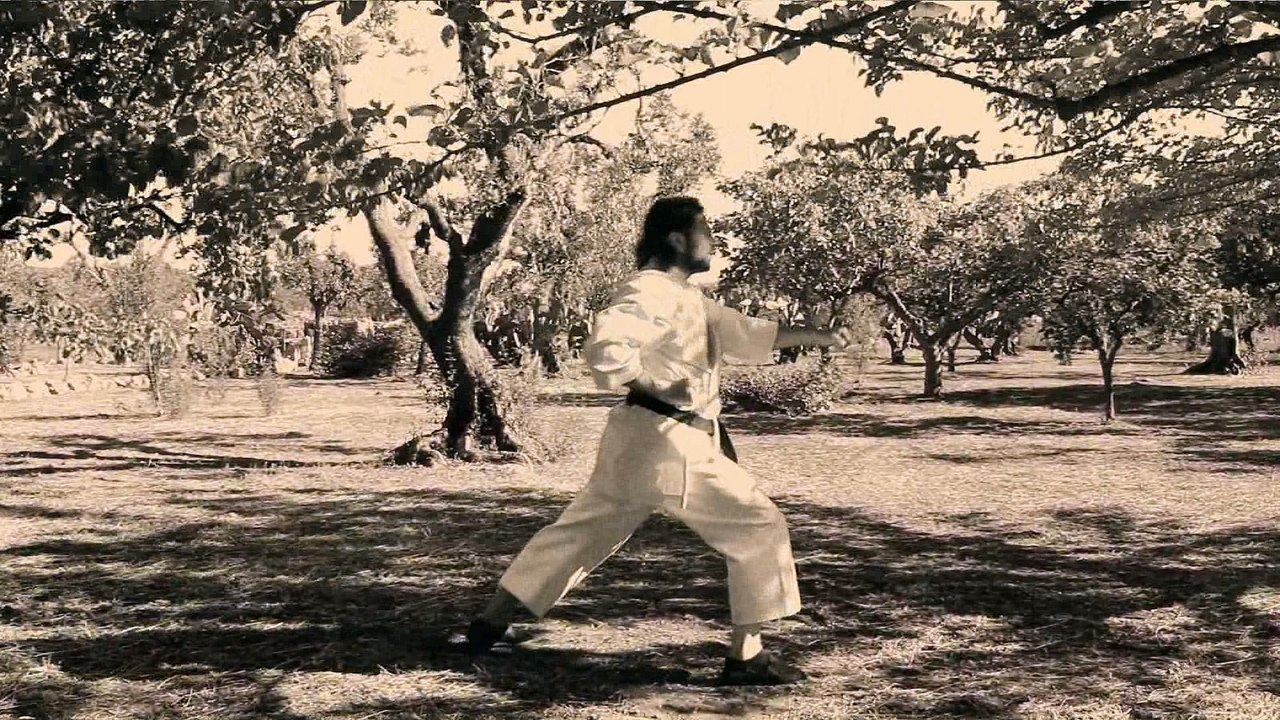 Shodaishinkhan - Shiho uke tsuki