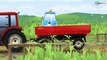 Traktor - Agricultural Machiner | Czerwony Traktorek Animacje | Tractor For Kids!