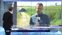 Vide sanitaire : les éleveurs du Gers très inquiets