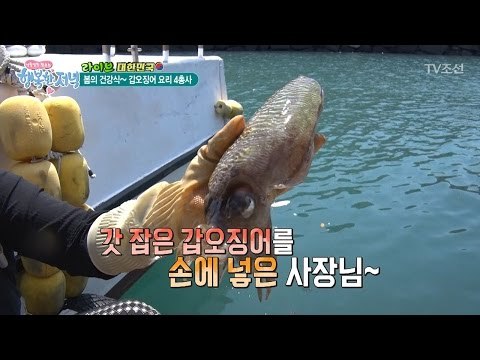 봄의 건강식, 갑오징어! 뼈를 통째로 빼내다! [행복한 저녁] 6회 20170417