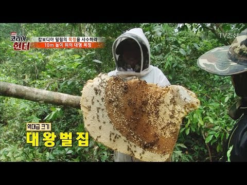 역대급 크기의 벌집을 사수하라! [뉴 코리아 헌터] 46회 20170417