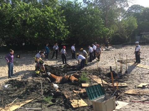 Florida Firefighters Rescue Horse From Mud Pit