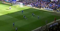 David McGoldrick Goal - Ipswich 2-1 Newcastle United 17.04.2017