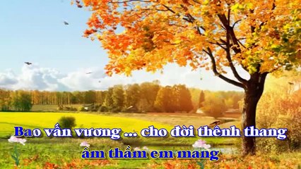 [Karaoke] NỖI ĐAU MUỘN MÀNG - Ngô Thụy Miên (Beat phối)