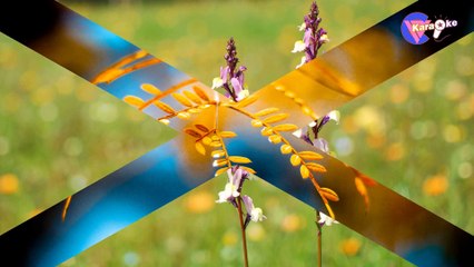 Căn nhà dĩ vãng - Karaoke HD [Beat Chuẩn]