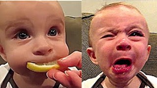CUTE FUNNY BABY COMPILATION KIDS VINES PART 1