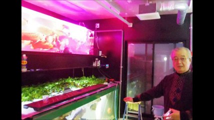 アジアアロワナ　カラー魚拓 Mineo Yamamoto printed an Asian Arowana