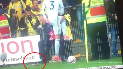 Brondby Fans Threw Dead Rats At Copenhagen Players!