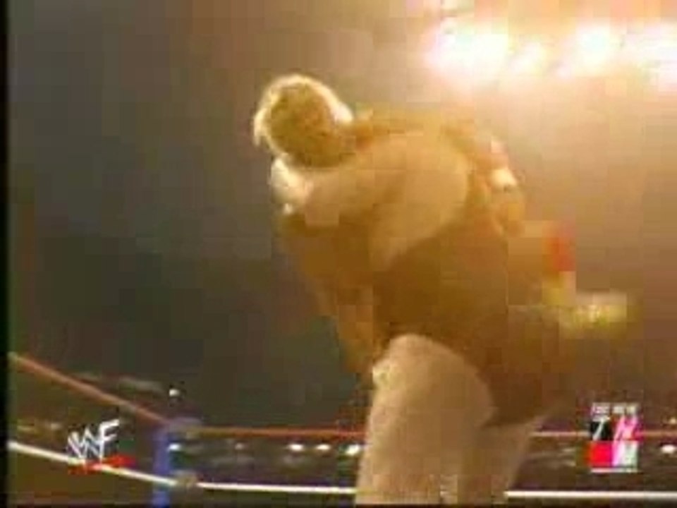 Hogan vs Andre the Giant