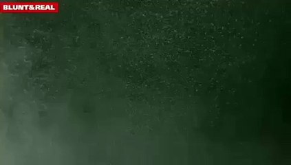 Blunt & Real: Honest Perspectives