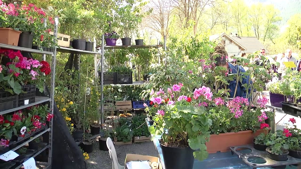 Hautes-Alpes : Un pèlerinage à l'ambiance fleurie pour la Saint Guillaume