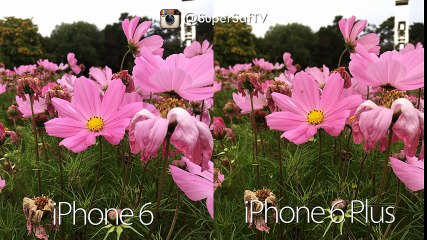 iPhone 6 vs iPhone 6 Plus - Which should you buy