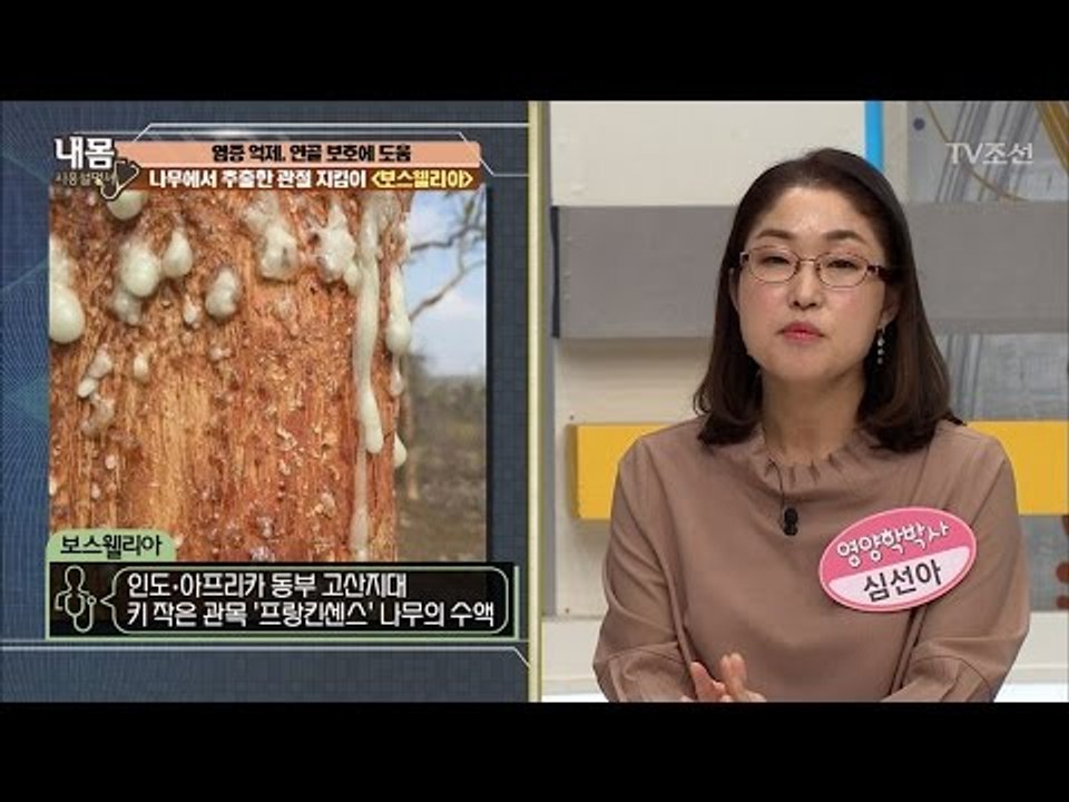 연골 보호! 관절 지킴이 ‘보스웰리아’ [내 몸 사용설명서] 148회 20170407