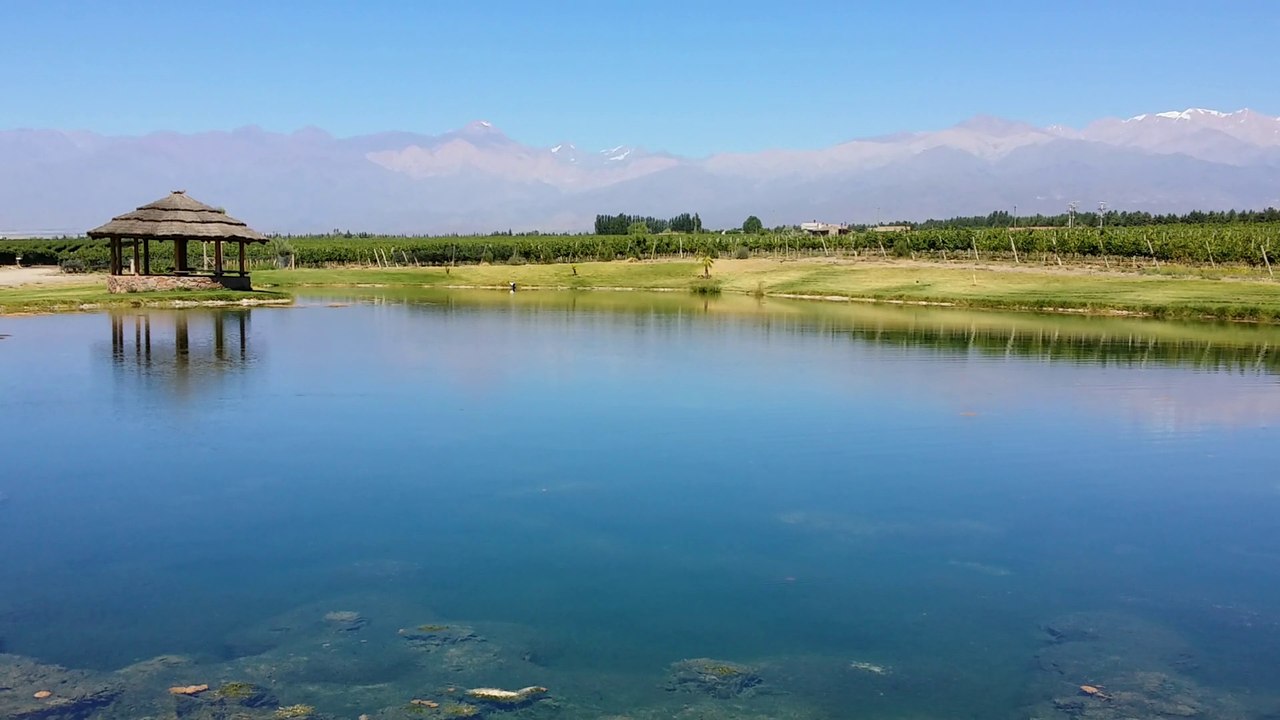 Wine Tour Argentina: Domaine Bousquet in Mendoza