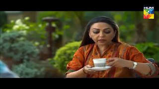 Yeh Raha Dil Episode 10 | 17th April 2017 | Complete Episode