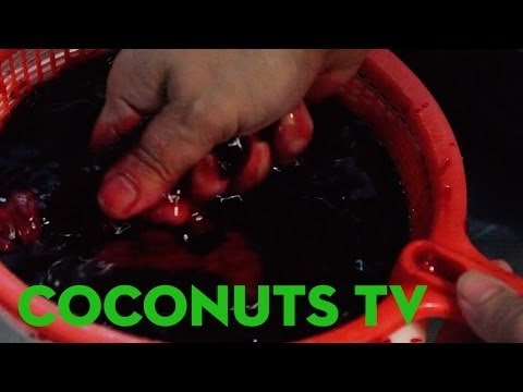 Freaky Feasts #8: Pork blood stew (Dinuguan) and Beef innards stew (Papaitan)